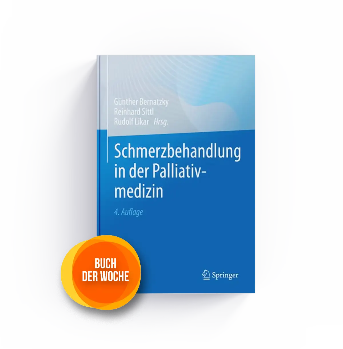 Schmerzbehandlung in der Palliativmedizin