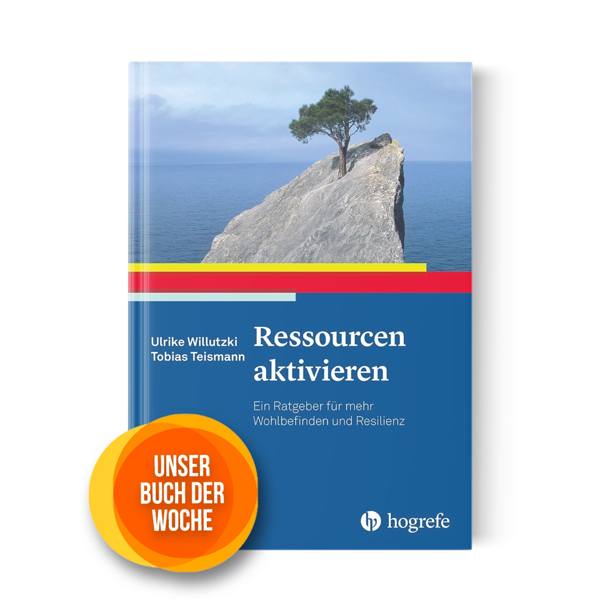 Buchvorstellung Ressourcen aktivieren